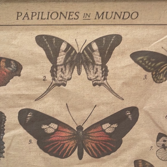 Earthbound butterflies in the world wall hanging - Picture 2 of 4